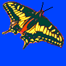 Viceroy