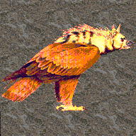 Hyeagle