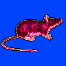 Giant Maus
