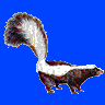 Skunk